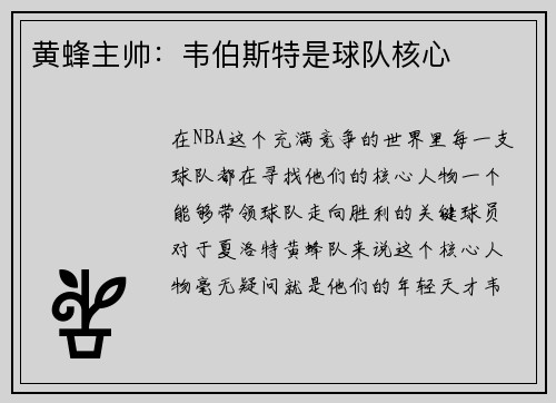 黄蜂主帅：韦伯斯特是球队核心