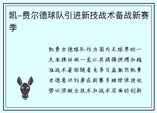 凯-费尔德球队引进新技战术备战新赛季