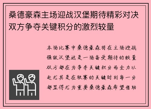 桑德豪森主场迎战汉堡期待精彩对决双方争夺关键积分的激烈较量