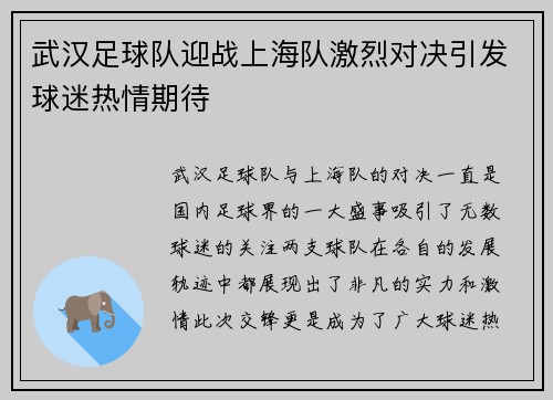 武汉足球队迎战上海队激烈对决引发球迷热情期待